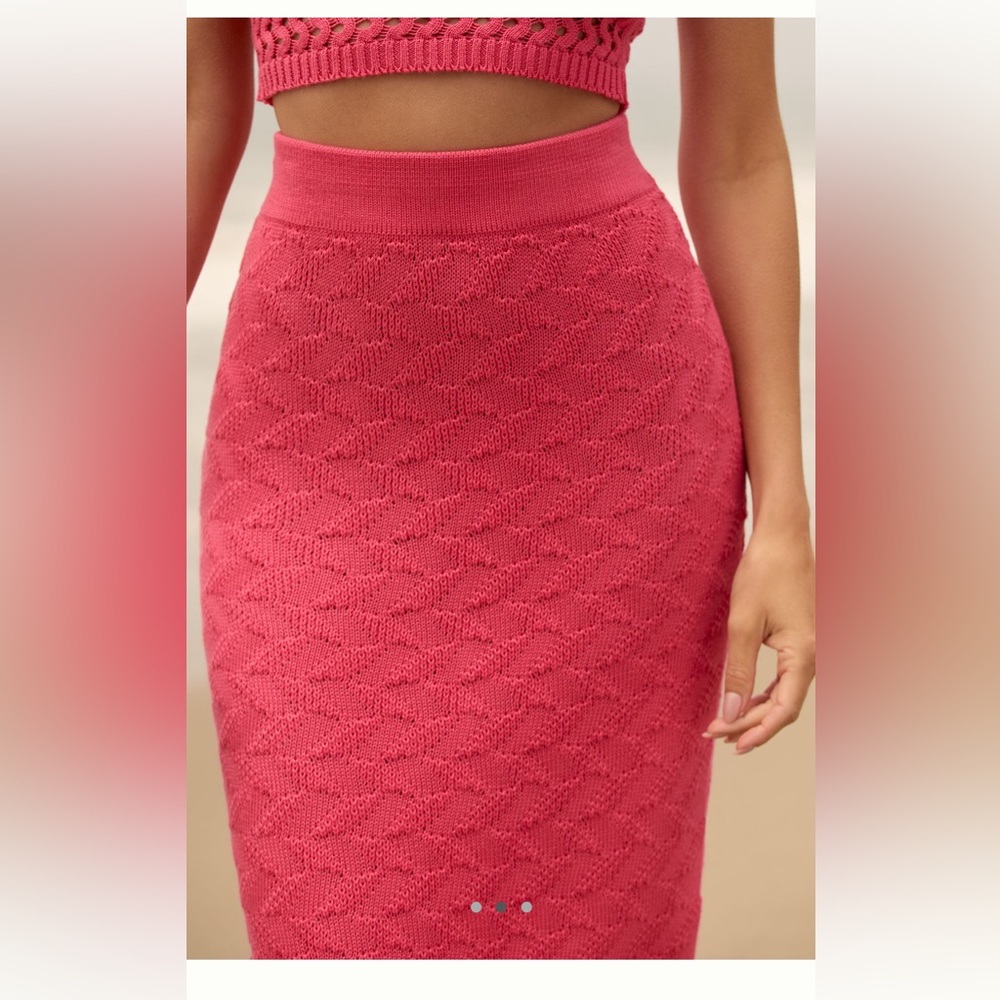 NWT Anthropologie Peixoto Leni Knit Midi Skirt Pink Sz Large - Picture 3 of 11